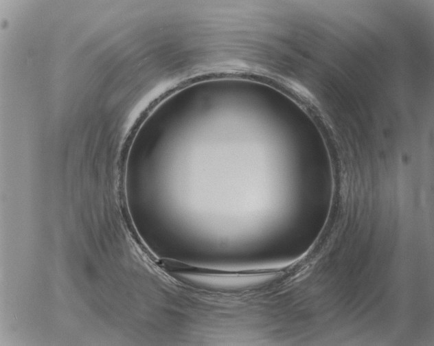 X0000055521326200509022113