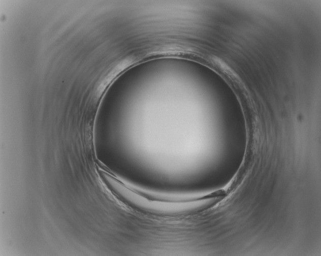 X0000055521329200509022114