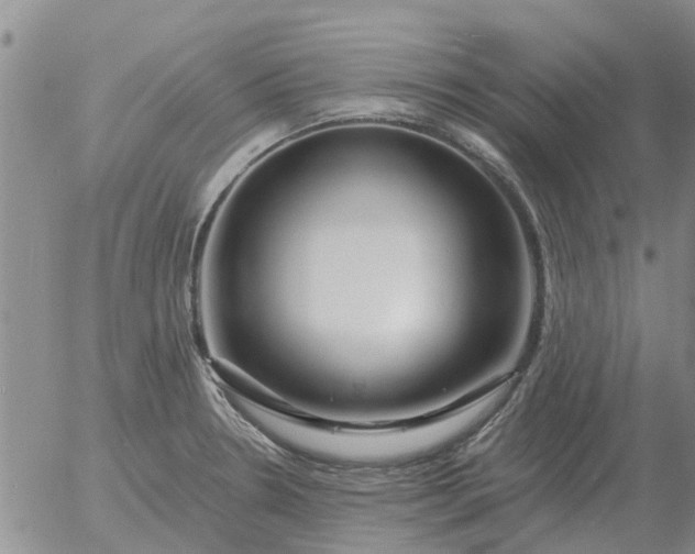 X0000055521330200509022114