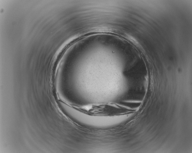 X0000055521331200509022114