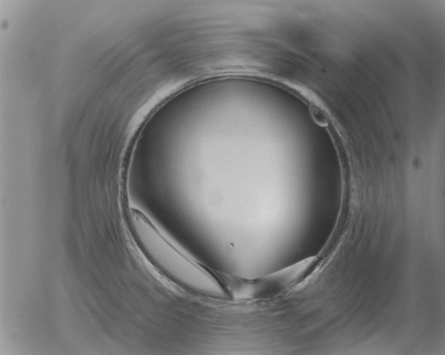 X0000055521333200509022114