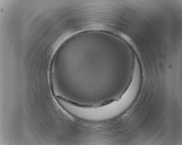 X0000055521334200509022114