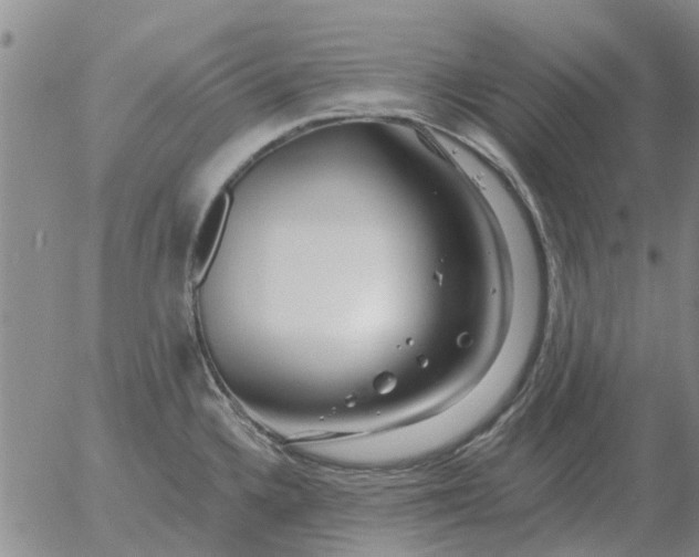 X0000055521336200509022114