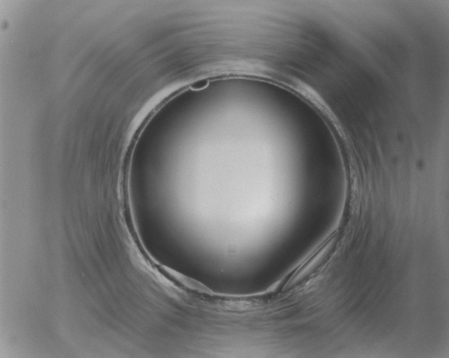 X0000055521339200509022114