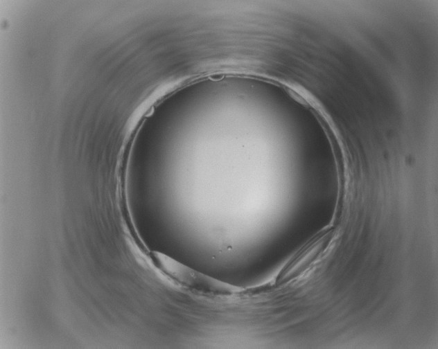 X0000055521341200509022114