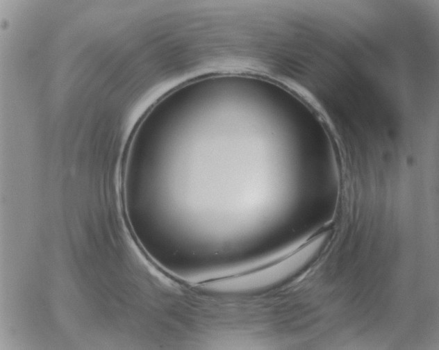 X0000055521343200509022114