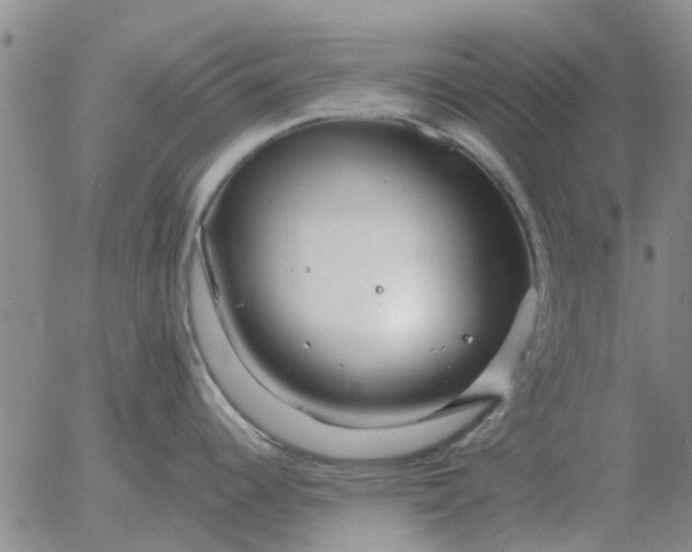 X0000055521344200509022114