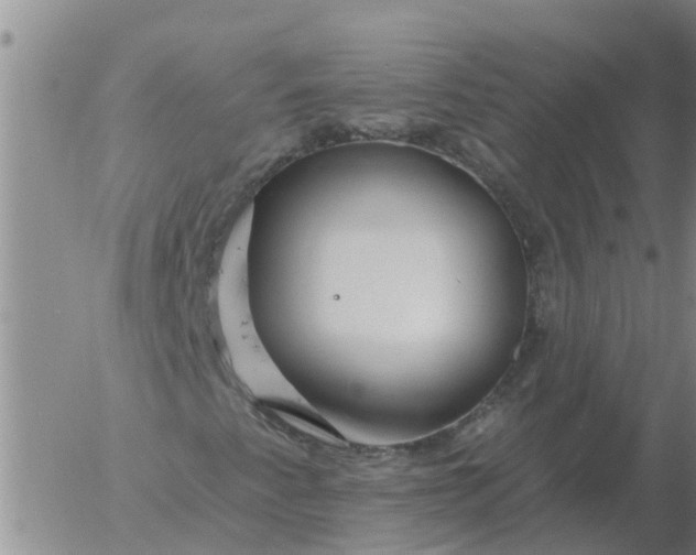 X0000055521345200509022113