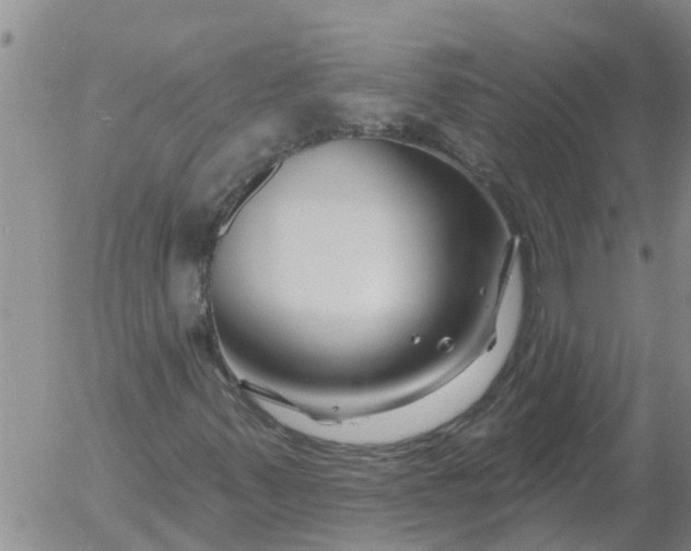 X0000055521347200509022113