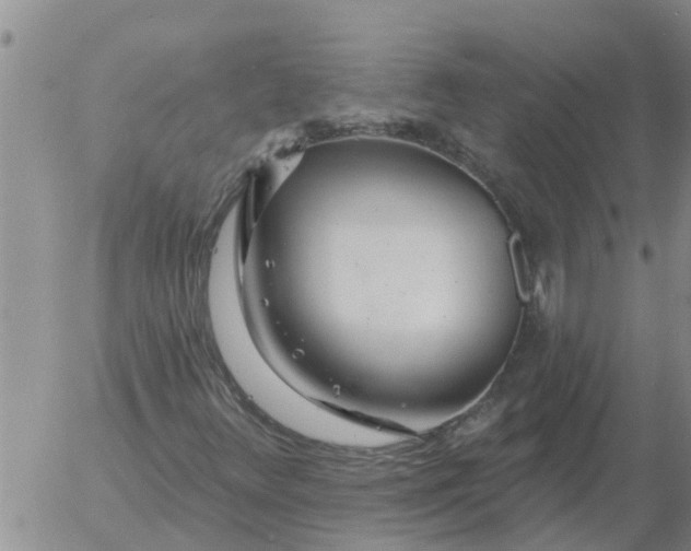 X0000055521348200509022113