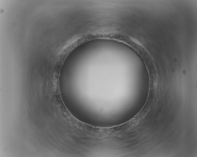 X0000055521350200509022113