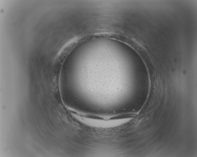 X0000055521351200509022113