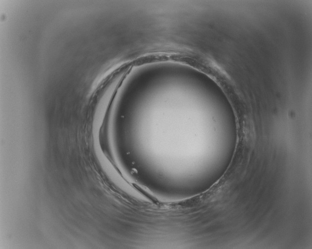 X0000055521352200509022113