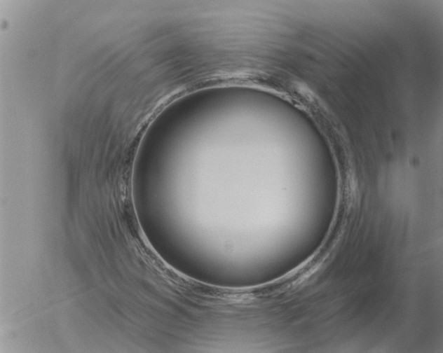 X0000055521353200509022113