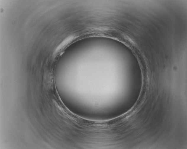 X0000055521354200509022113