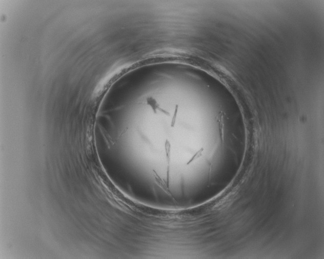 X0000055521355200509022113