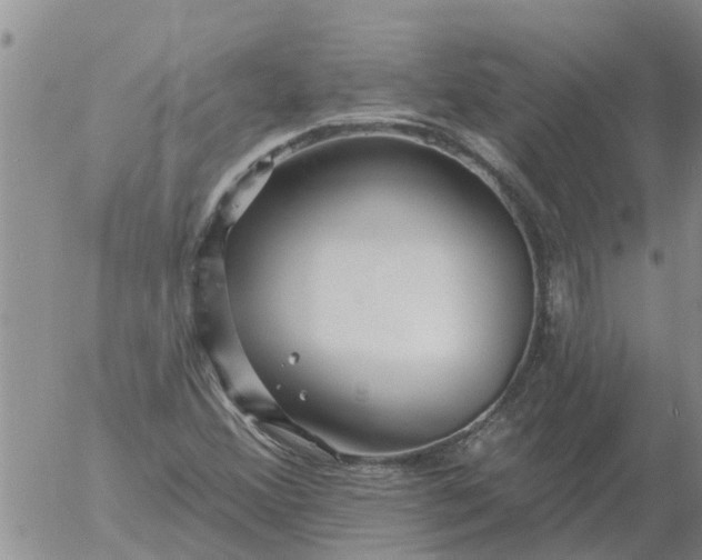 X0000055521356200509022113