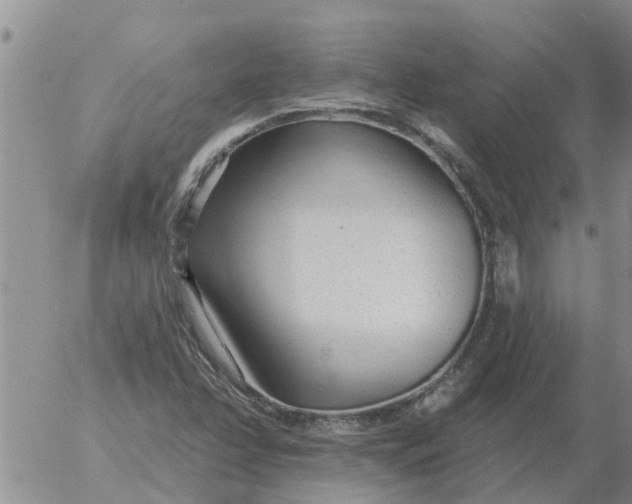 X0000055521358200509022113