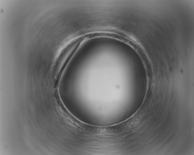 X0000055521360200509022113