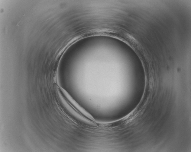 X0000055521361200509022113