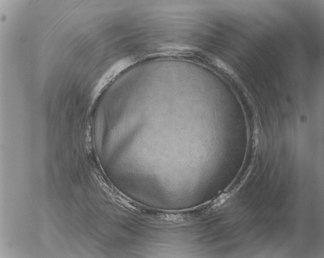 X0000055521362200509022113