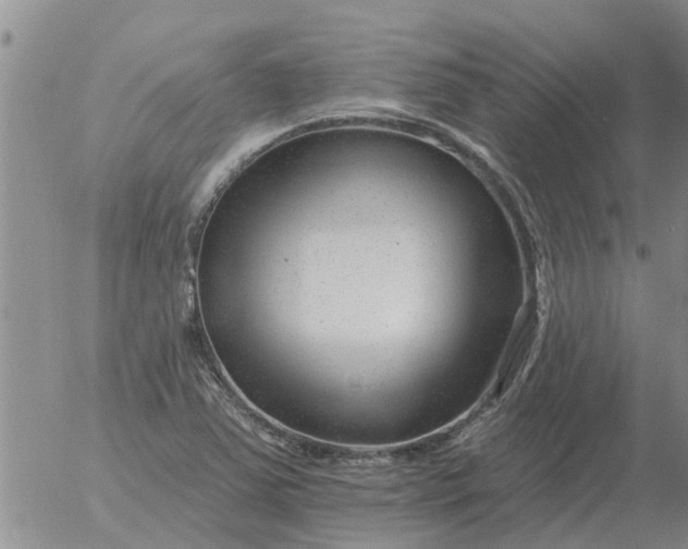 X0000055521363200509022113