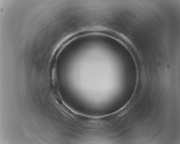 X0000055521364200509022113