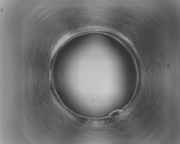 X0000055521365200509022113