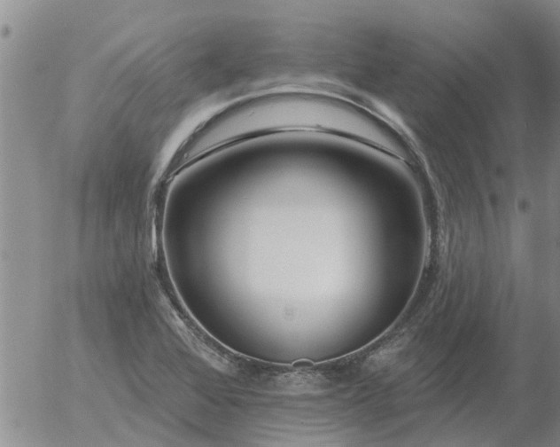 X0000055521368200509022113