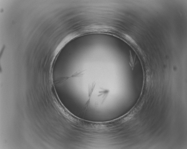 X0000055521370200509022113