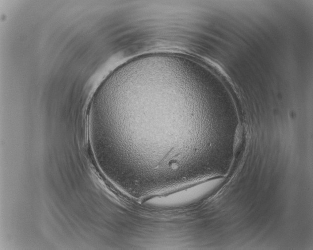 X0000055521371200509022113