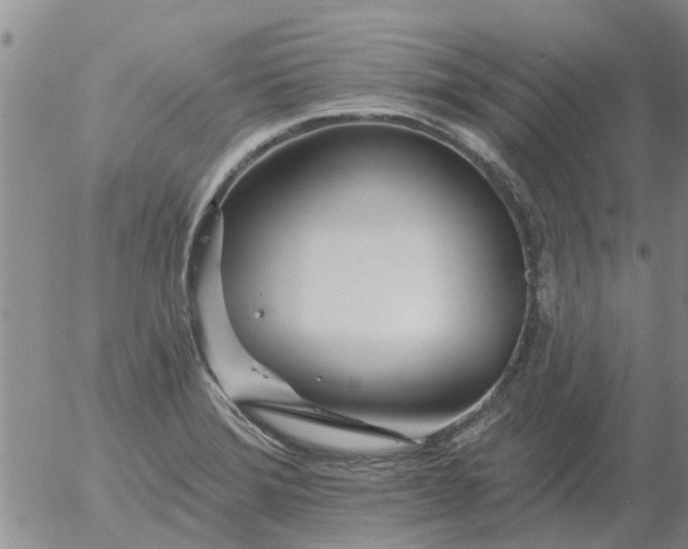 X0000055521372200509022113