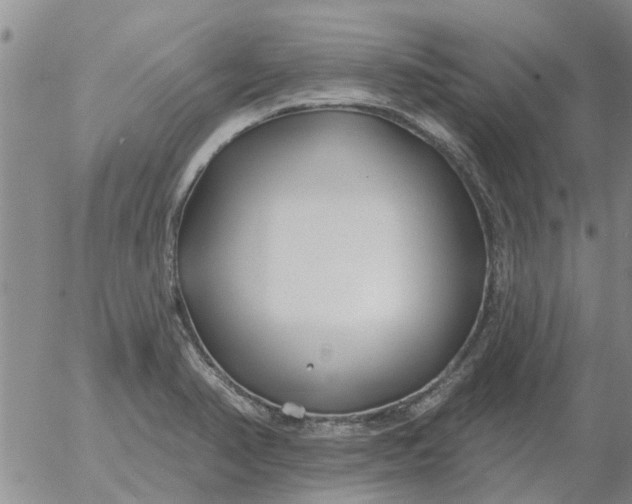 X0000055521374200509022112