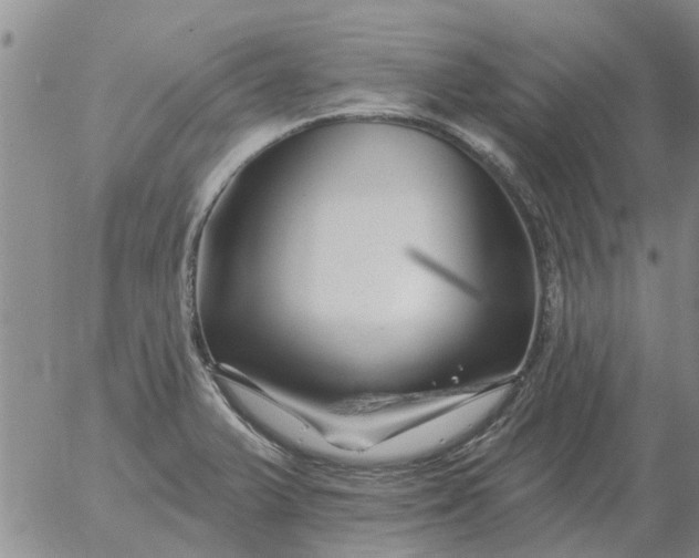 X0000055521375200509022112