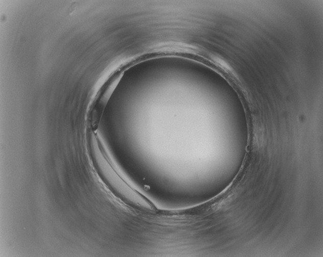 X0000055521376200509022112