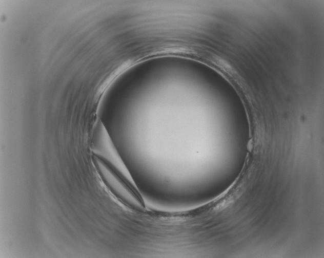 X0000055521377200509022112