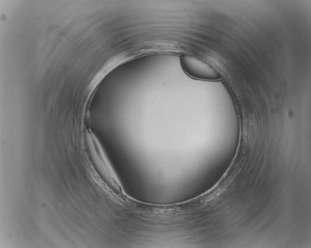 X0000055521378200509022112