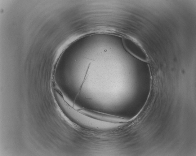 X0000055521379200509022112