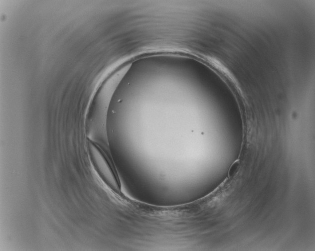 X0000055521380200509022112