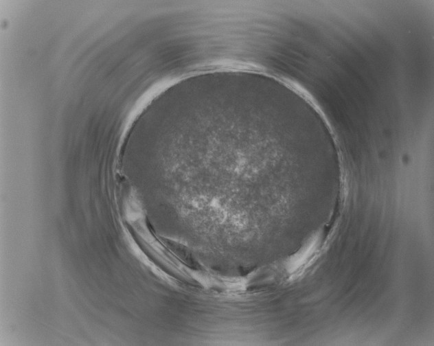 X0000055521381200509022112