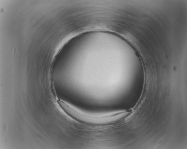 X0000055521382200509022112