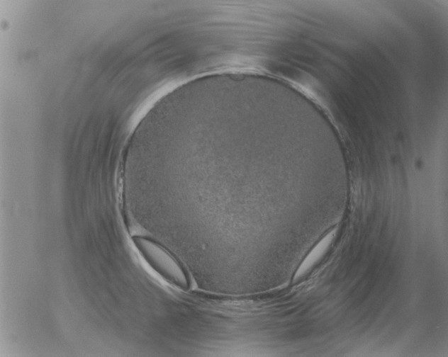 X0000055521383200509022112