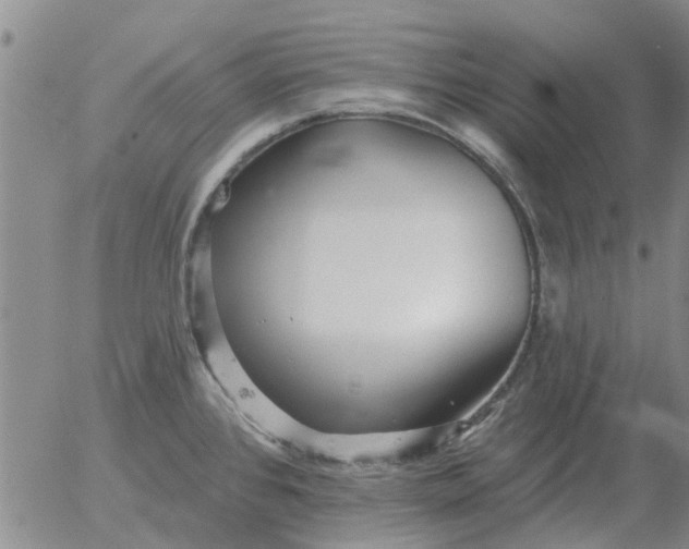 X0000055521384200509022112