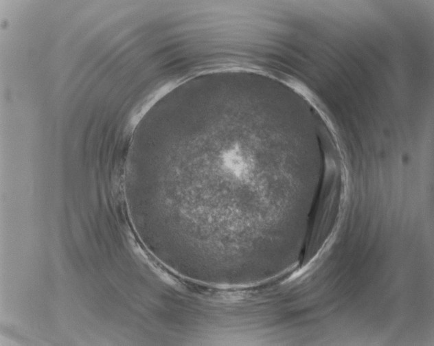 X0000055521385200509022112