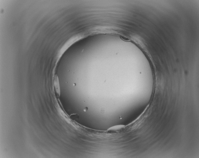 X0000055521386200509022112