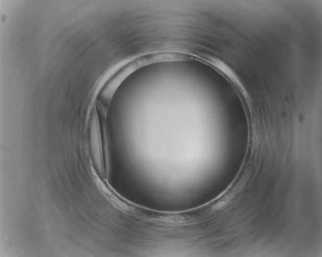 X0000055521388200509022112