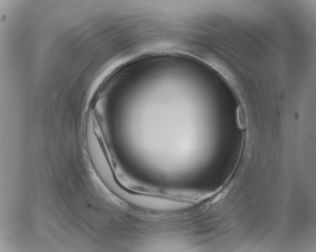 X0000055521392200509022112