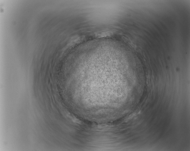 X0000055521393200509022111