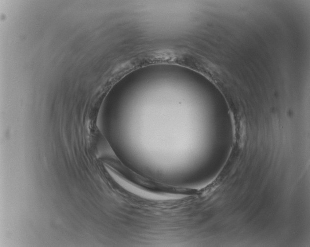 X0000055521394200509022111