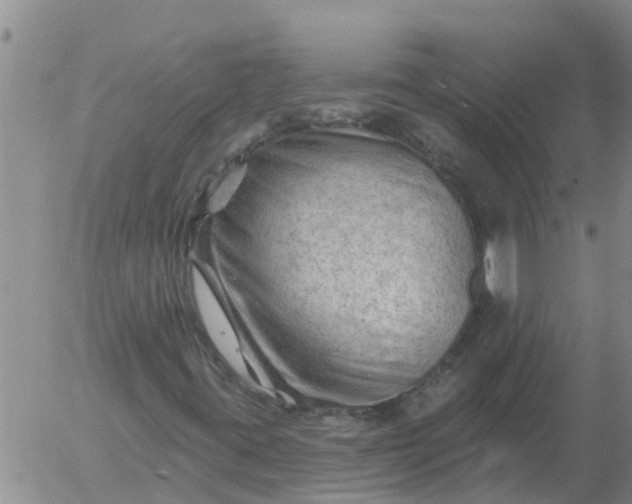 X0000055521395200509022111